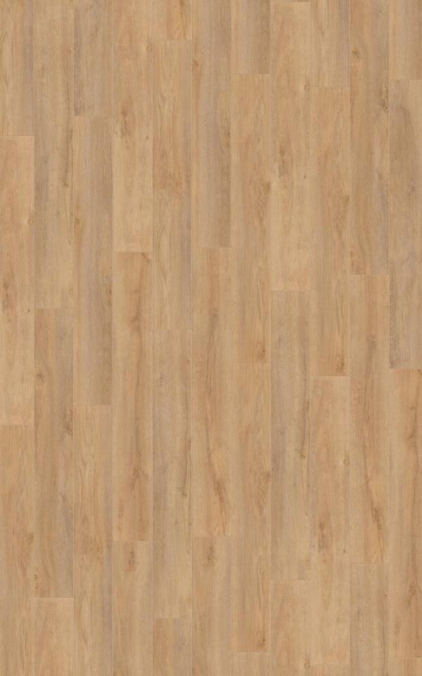 Premium Oak 12MM AC5