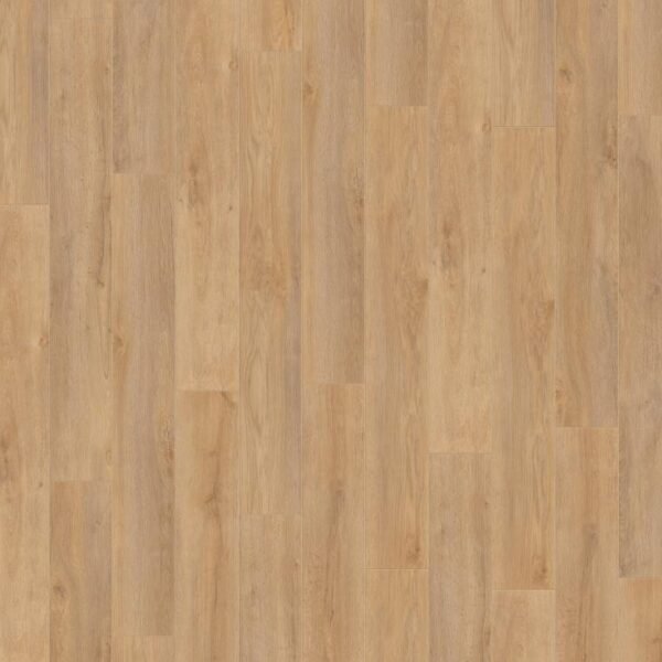 Premium Oak 12mm AC5 Laminate Flooring – Robusto Collection