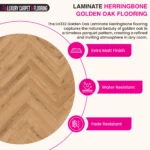 Laminate Herringbone – Golden Oak Herringbone Flooring - Image 3