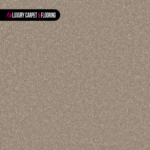 Ammonite Natural Stone Inspired Grey Interior Wall Paint with Organic Character