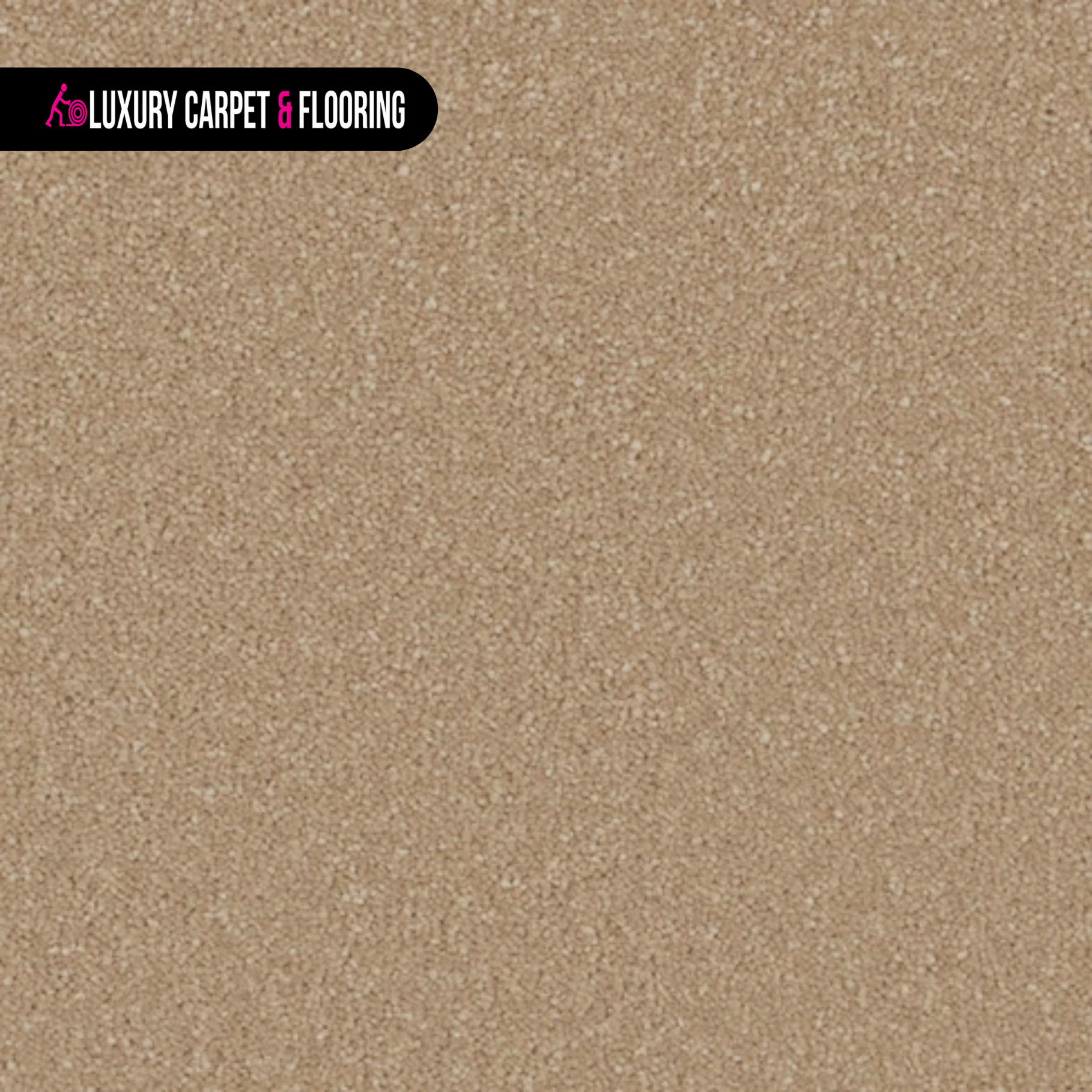 Gazelle Gazelle Soft Earthy Brown Interior Wall Paint for Natural Warm Interior Styling - Image 1